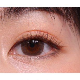 LENSME Megalook Fallin Choco(月拋)